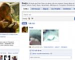 Orangutan Nonja nową gwiazdą Facebooka