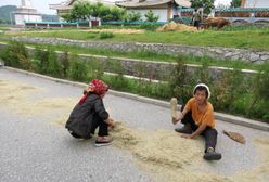 Korea Północna głoduje. Prowincja Pyongan wzywa wieś do pomocy biednym w miastach