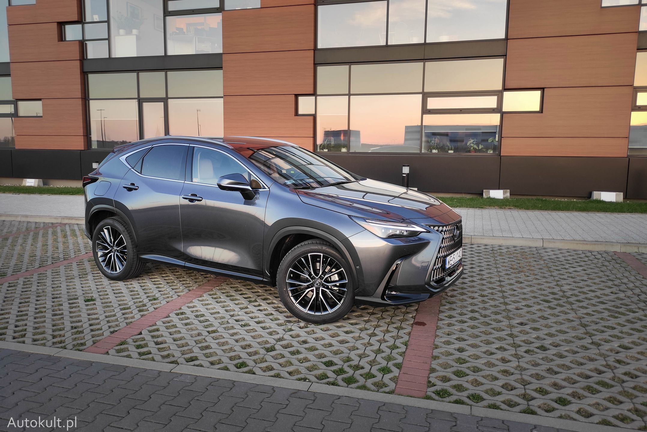 Lexus NX450h+