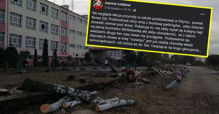 "Lekcja przyrody w szkole podstawowej w Otyniu". Internautka pokazała zdjęcia