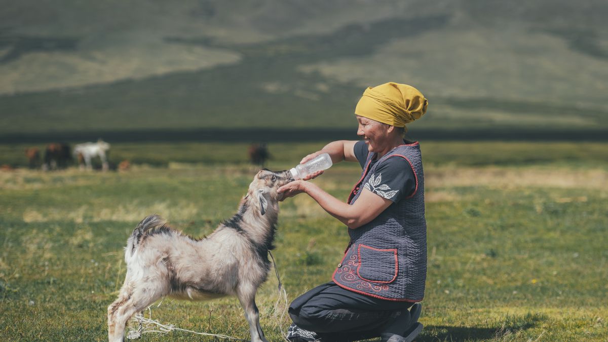 Mieszkanka Kirgistanu 