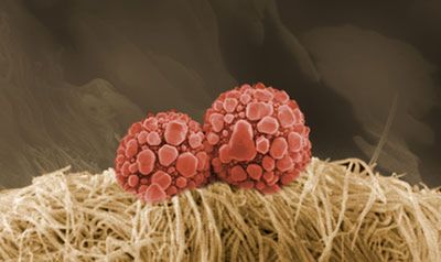 10 niecodziennych przedmiotów wykonanych za pomocą nanotechnologii 6