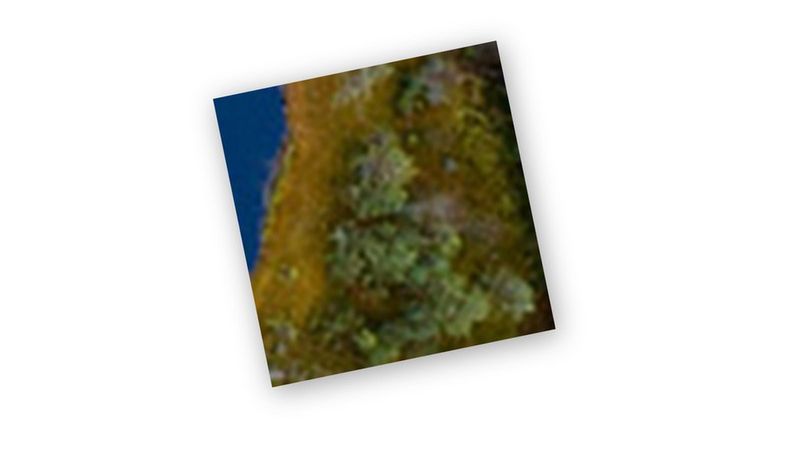 Fotograficzny quiz, ciąg dalszy... nr 9 1