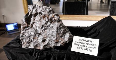Znalazłeś kamień w polu? Może być droższy niż złoto