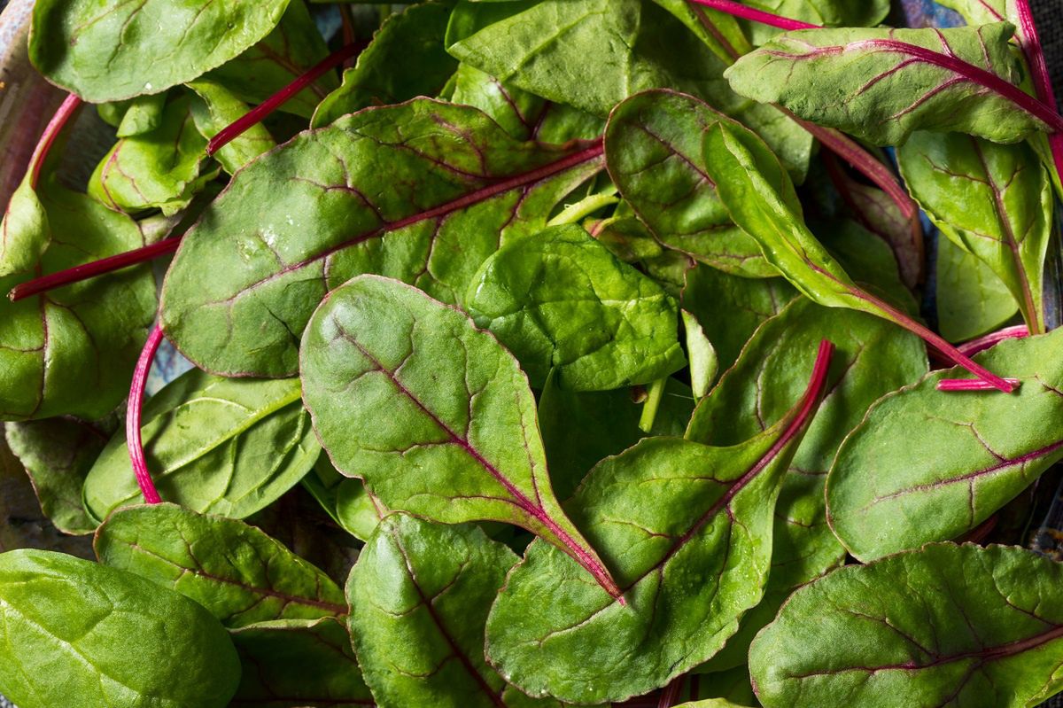 Beet greens not just for soup. A proven recipe for a vegetable side dish for dinner.