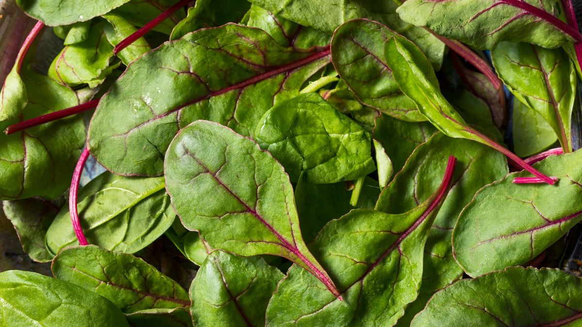 Botwinka nie tylko na zupę. Sprawdzony przepis na jarzynkę do obiadu