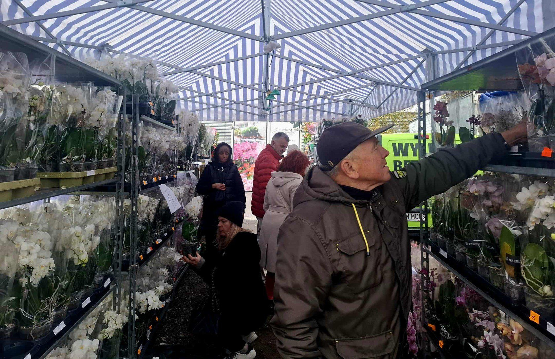 Oto, co można kupić na autogiełdzie przy ul. Puszkina