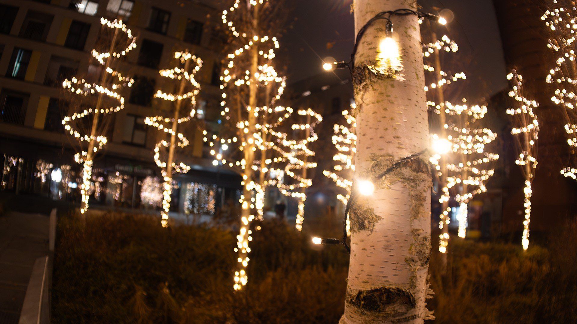Świąteczna Fuzja robi wrażenie