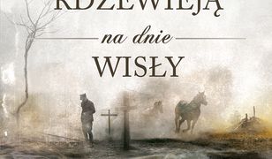 Gwiazdy rdzewieją na dnie Wisły