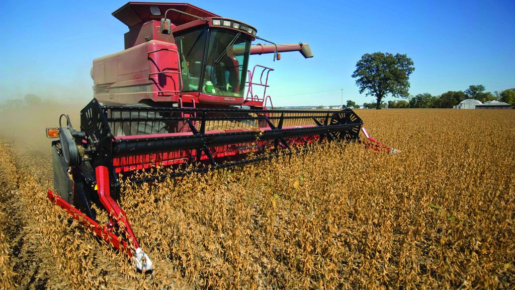 Trudności ze zbiorem kukurydzy sprawiają, że drożeją także inne zboża.