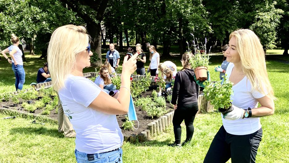 Warszawa. Ziołowa rabatka na Wierzbnie. Pomogła Martyna Wojciechowska