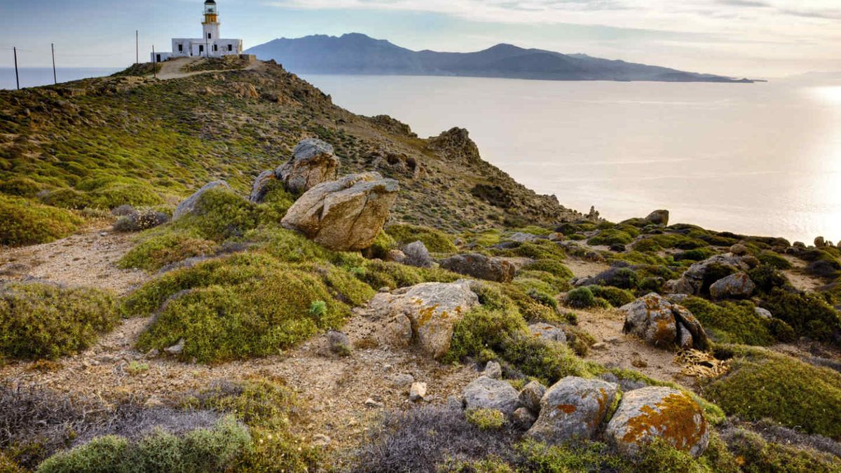 Wakacyjny cashback Olympusa - możesz otrzymać zwrotu do 1100 zł 1