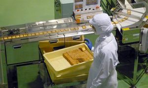 Fala żywności z Ukrainy płynie do Polski. Wśród nich te produkty