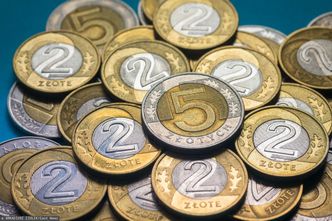 Tak złoty reaguje na wygraną Karola Nawrockiego. Co z kursem dolara i euro?
