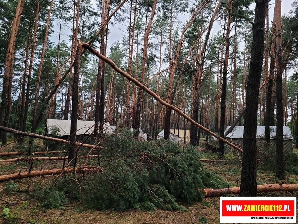 Połamane gałęzie i przewrócone drzewa na terenie obozu w Kostkowicach