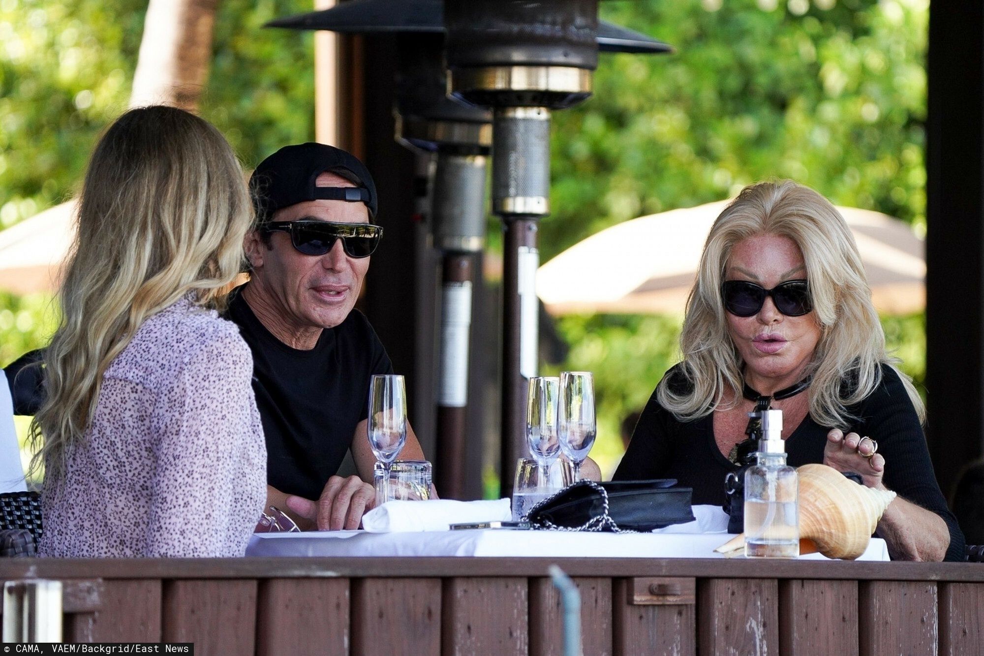 Jocelyn Wildenstein