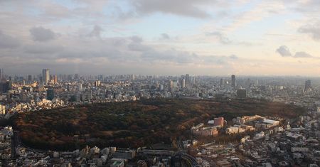 Denga w Japonii. Zamknięto tokijski park Yoyogi