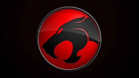 Koty w natarciu [materiał testowy] 1