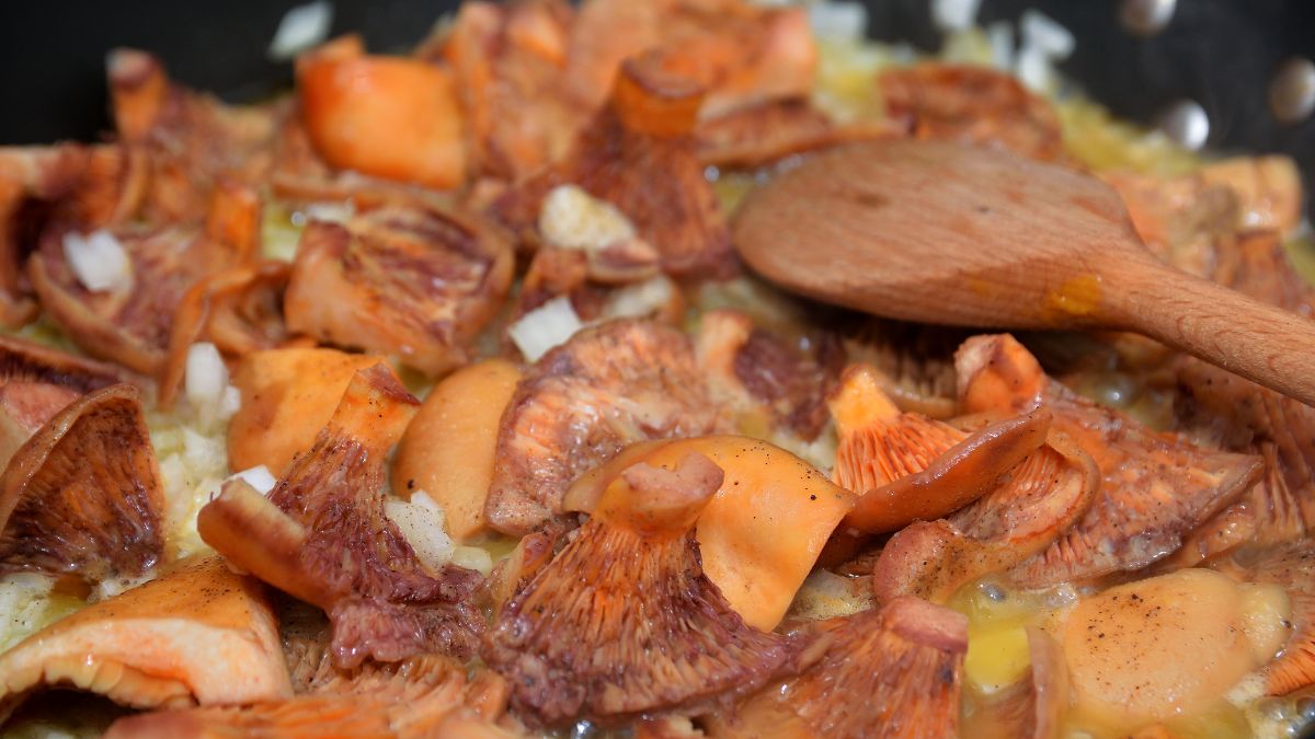 Smażone rydze to rarytas 