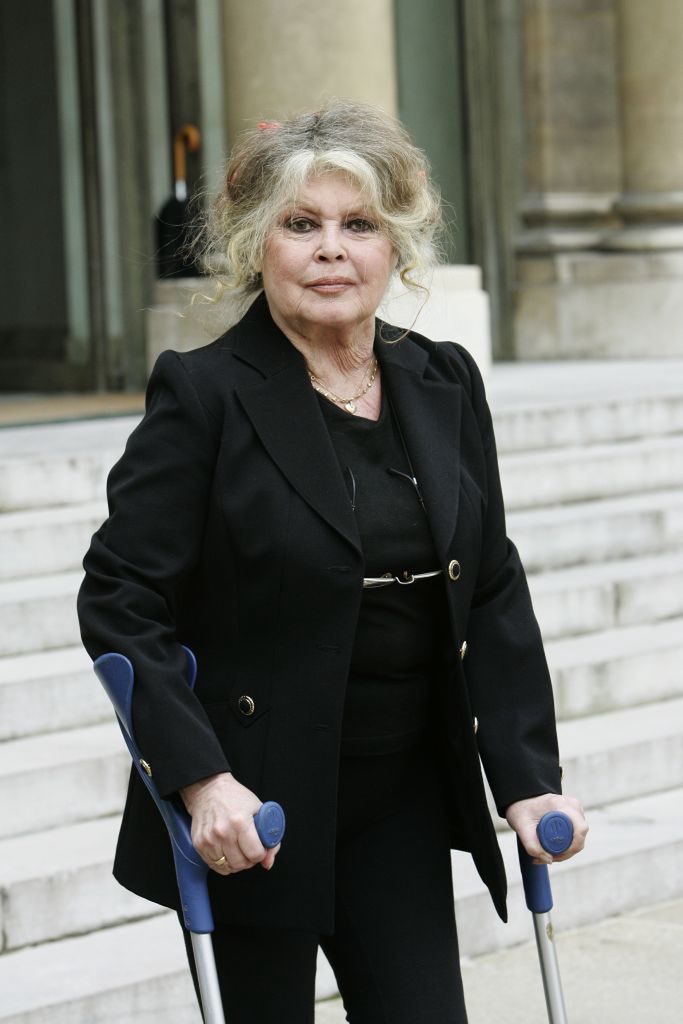 Brigitte Bardot podczas spotkania z Nicolasem Sarkozym