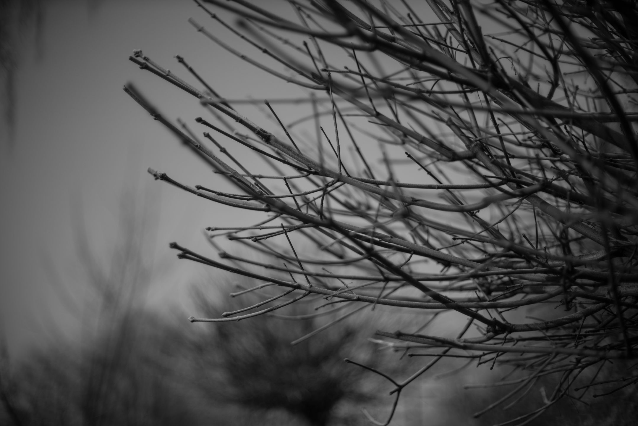 Voigtländer VM 50 mm f/1.1 Nokton - bardzo jasna pięćdziesiątka, która kreuje własną rzeczywistość [test] 34