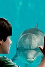 Box Office USA: Amerykanie polubili delfina