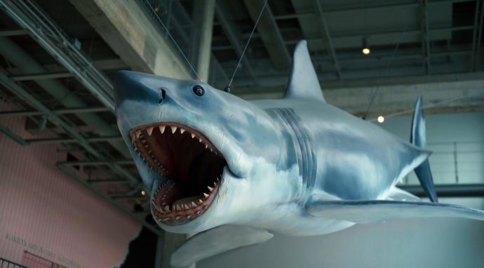 Szczęki. Megahit Hollywoodu