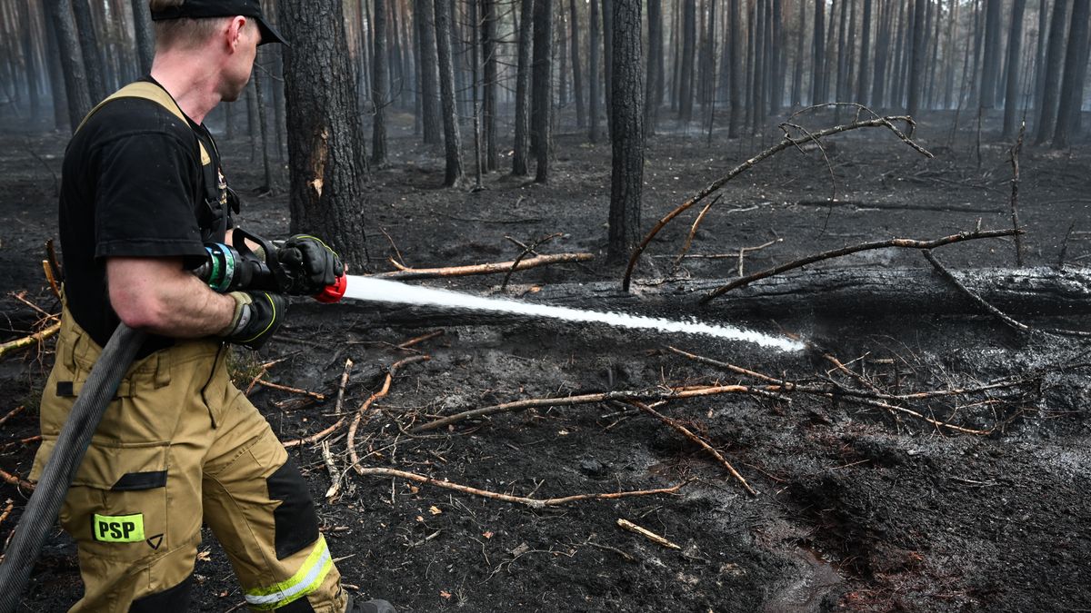 Ponad 200 strażaków w akcji. Dogaszają pogorzelisko w Puszczy Solskiej