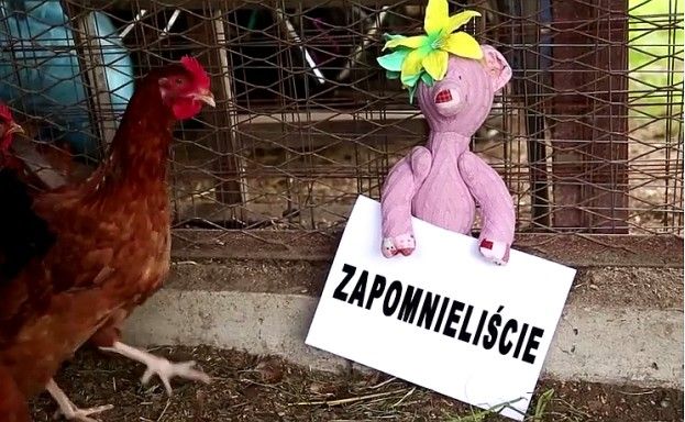Obraz