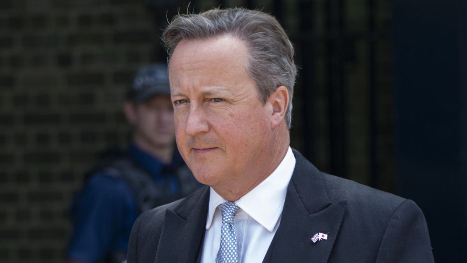 LONDON, ENGLAND - JUNE 25:  David Cameron during the Ceremonial Welcome at Horse Guards Parade on June 25, 2024 in London, England. The Emperor and Empress of Japan are on a three-day state visit to the United Kingdom hosted by King Charles III. (Photo by Mark Cuthbert/UK Press via Getty Images)