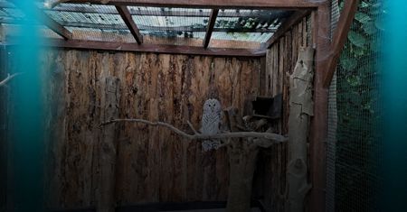 ZOO po zmroku - odkryj tajemnice płockiego ogrodu zoologicznego