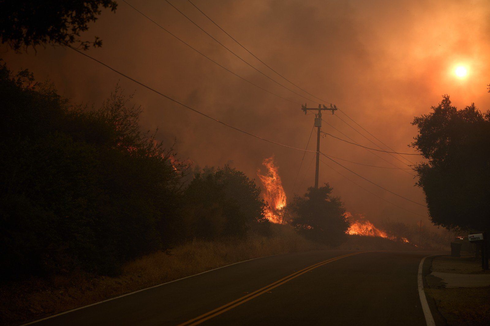 Canyon Fire