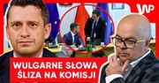 Śliz przyłapany na komisji. Wszystko nagrały kamery w Sejmie