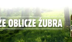 Żubr w nowych puszkach i butelkach