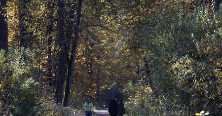 Pogoda w Warszawie 5 listopada. Słońce zza chmur