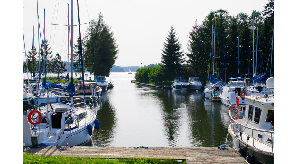  Źródło: CCat82/Getty Images