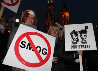 Manifestacja przeciwko paleniu węglem w piecach w Krakowie