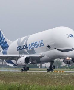 Olbrzym wylądował w Warszawie. Airbus beluga na Okęciu