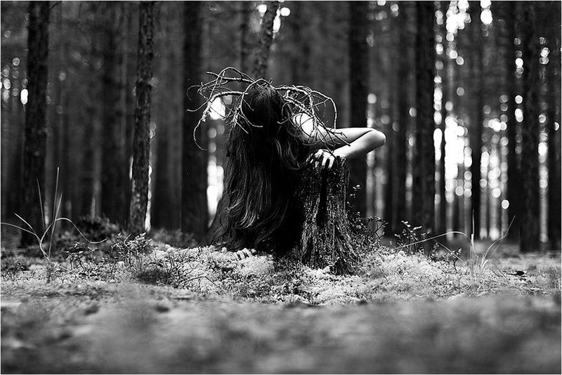 Emocjonalna podróż między fotografią a literaturą 3