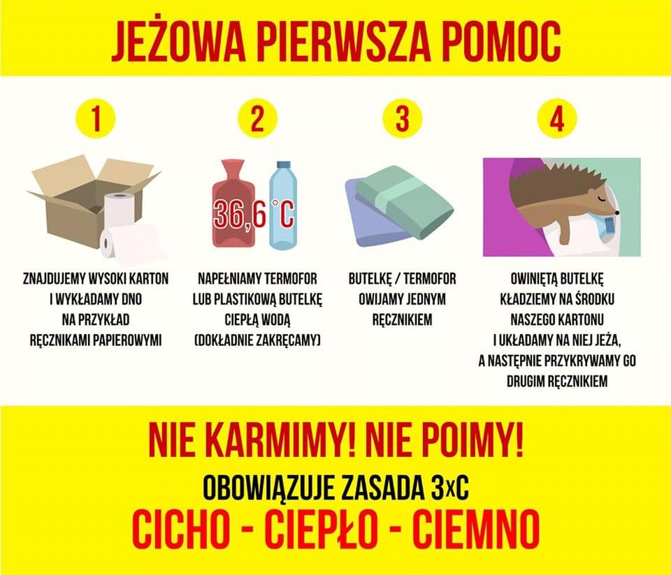 Jeżowa pierwsza pomoc