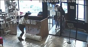 Chciała ukraść z kawiarni kota. Nagranie hitem sieci