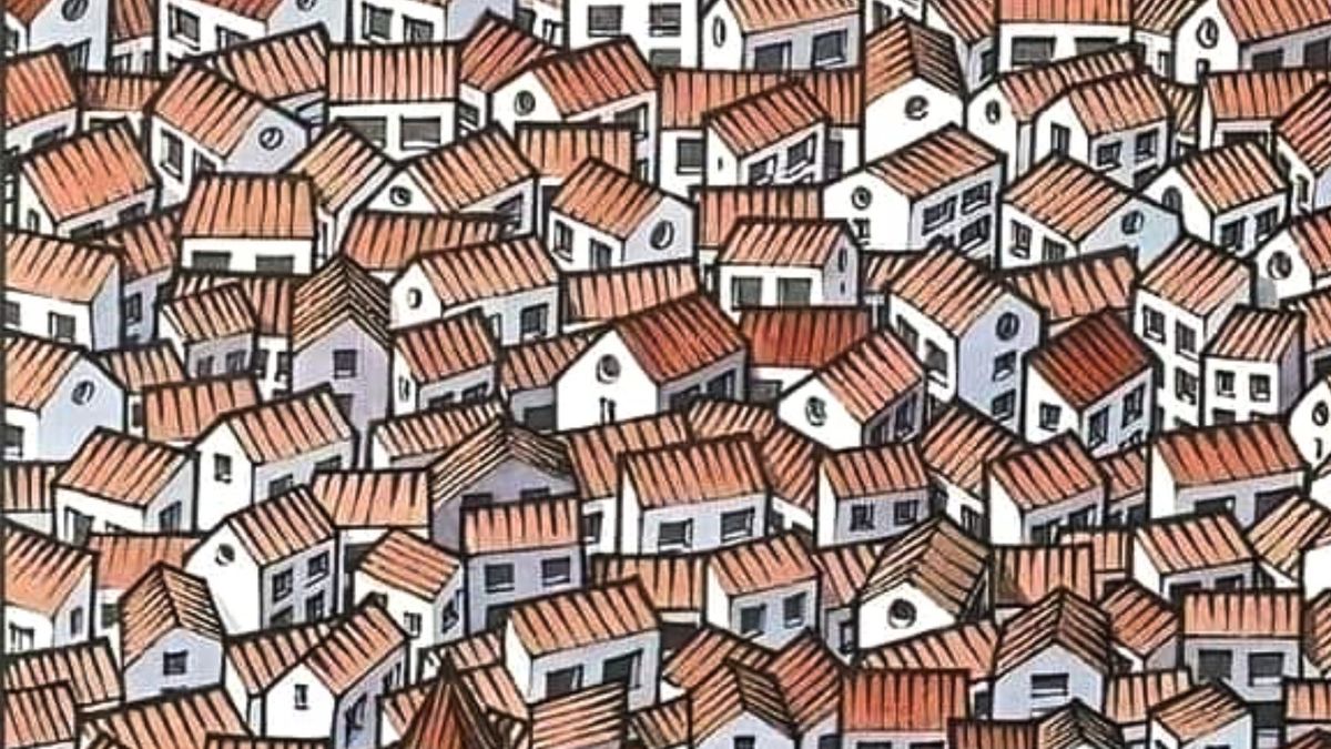 Gdzie ukrył się kot? Najlepsi znajdują w 15 sekund