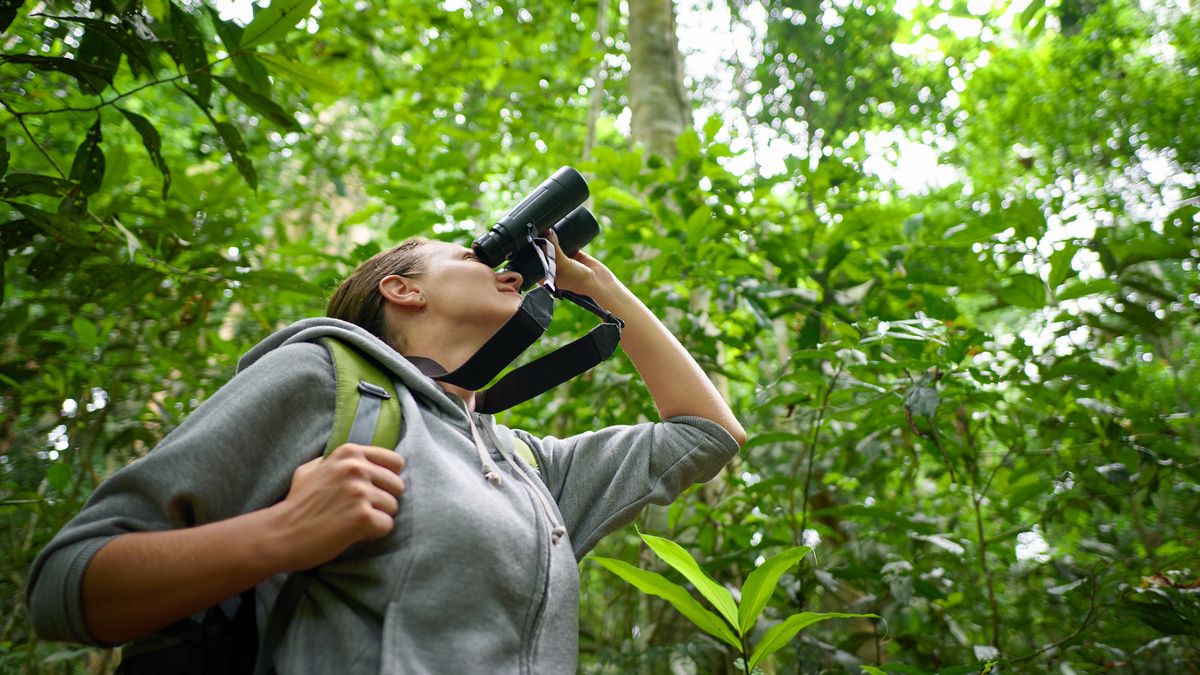 Lornetka nie tylko dla myśliwych. Może się przydać w wielu sytuacjach 1