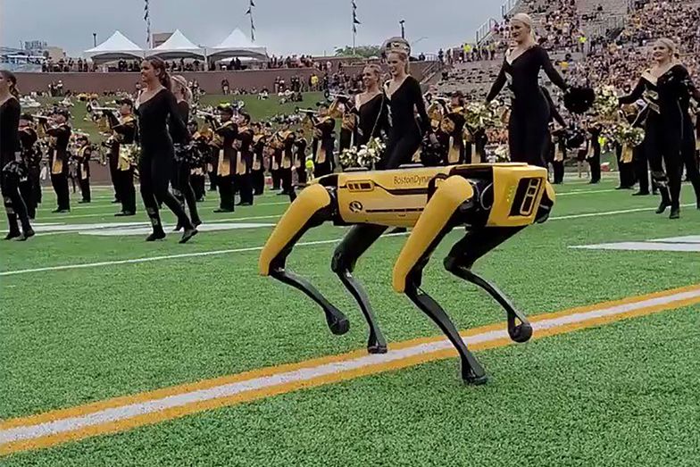 Pies-robot zatańczył z cheerleaderkami. Nagranie jest hitem