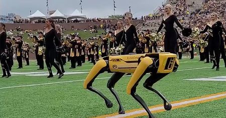 Pies-robot zatańczył z cheerleaderkami. Nagranie jest hitem