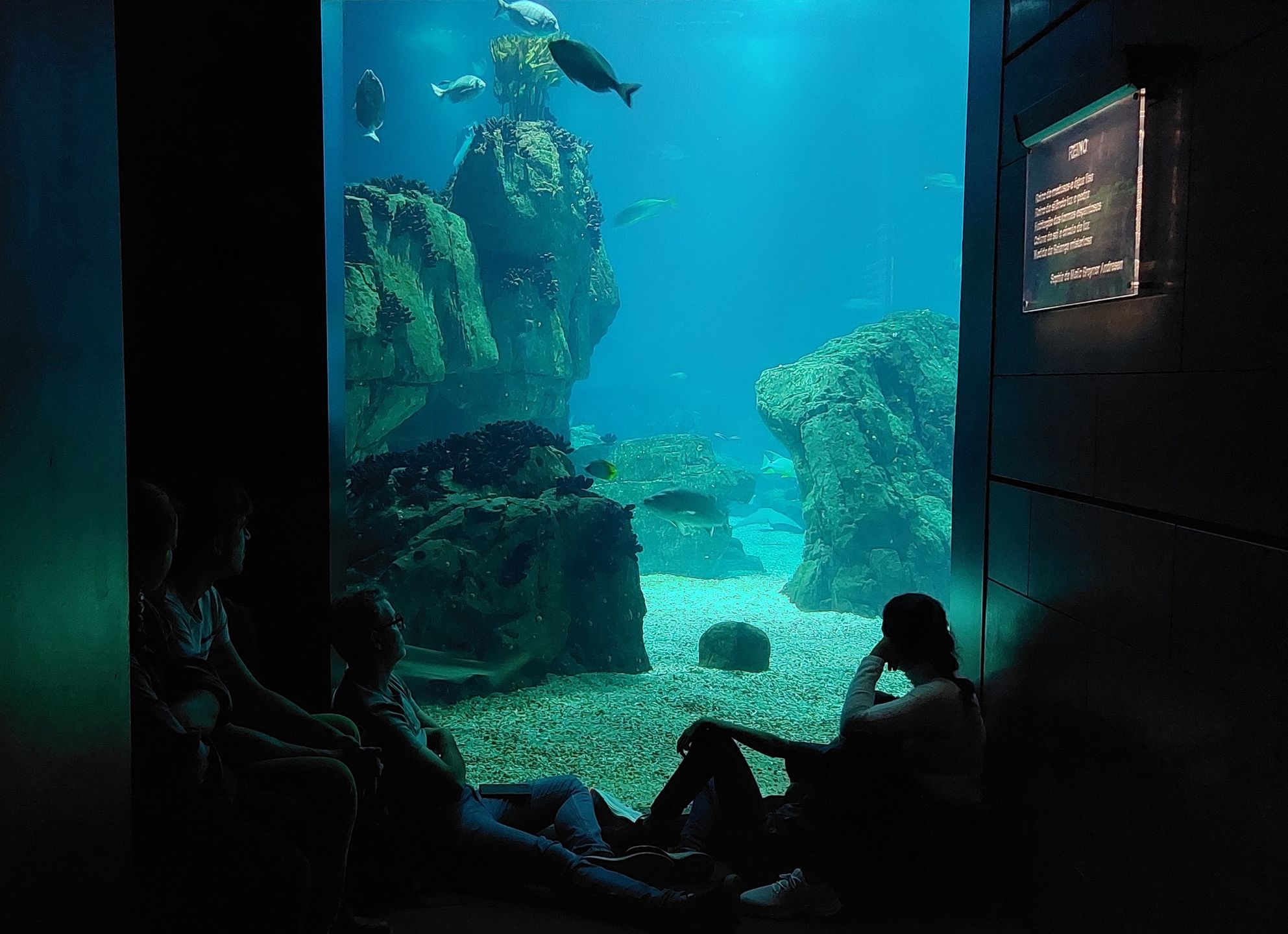 Oceanarium w Lizbonie