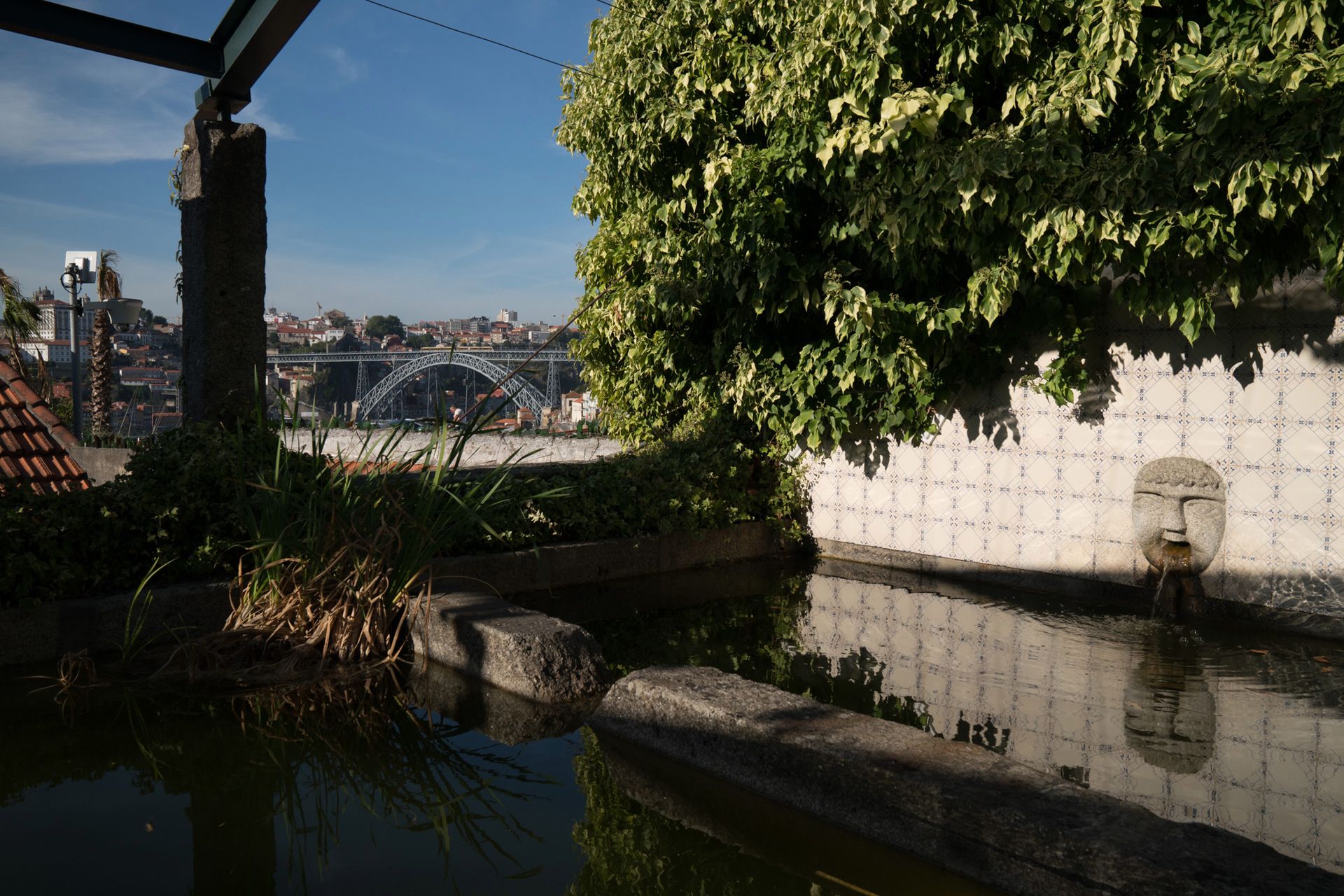 Sony A9 - test bezlusterkowca, który ma być zabójcą lustrzanek 513