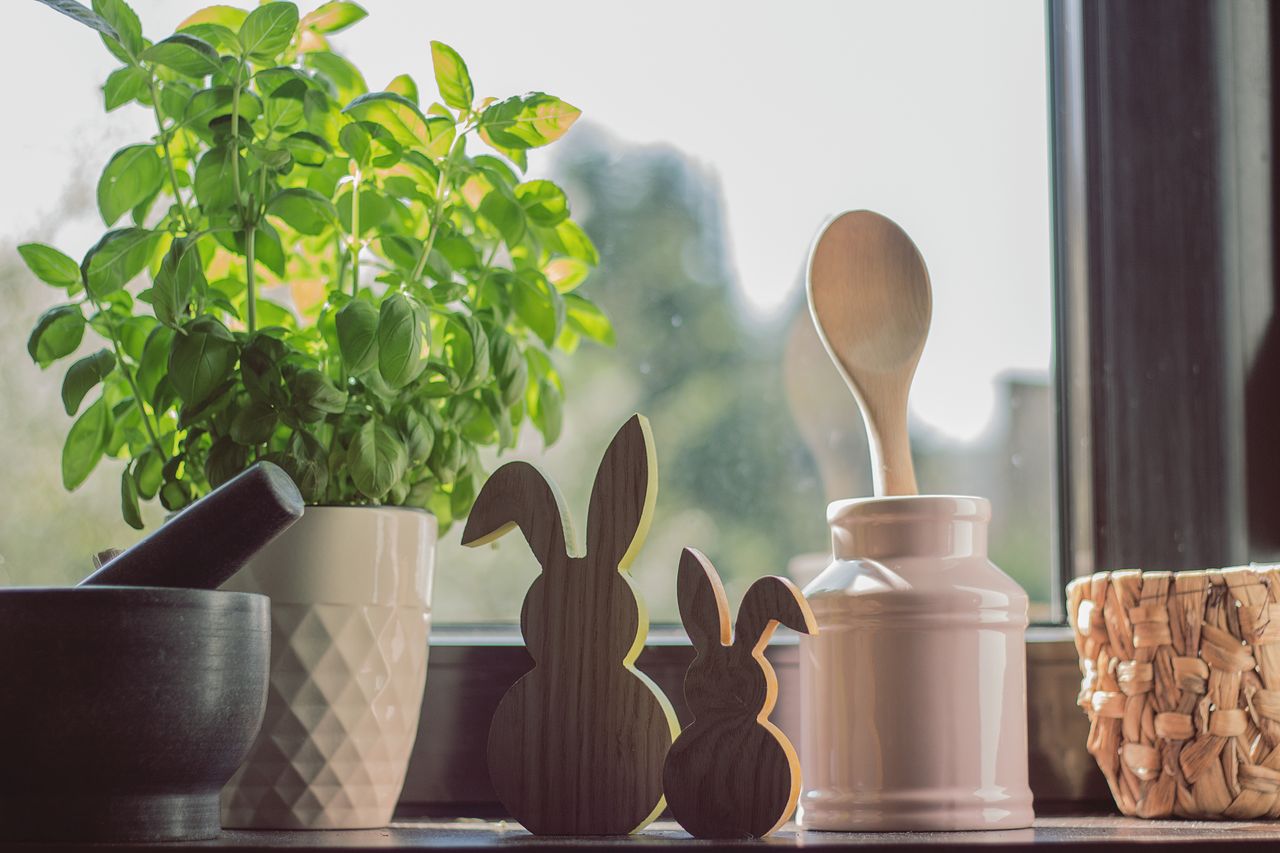 If you place a pot with basil on the windowsill, flies won't enter the house through the open window.