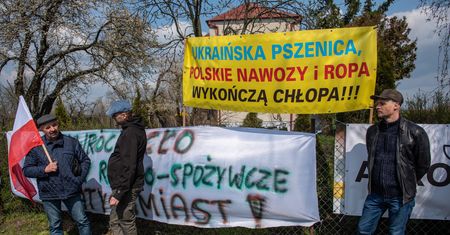 Afera z pszenicą z Ukrainy. Znaleźli nowy sposób