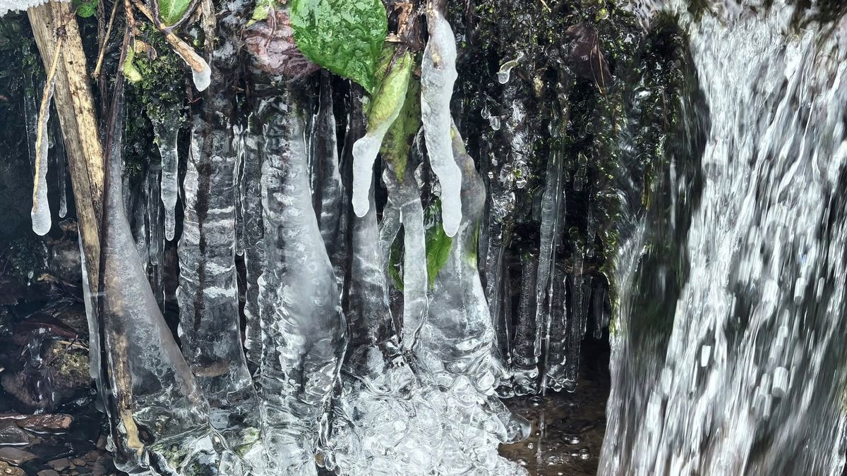 Leśnicy zobaczyli ogromne sople. Aż zrobili zdjęcie.